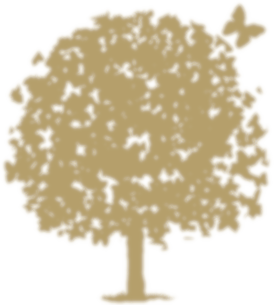 DorfUlme - Mondmeditation Annette Ulrich, Guntalingen